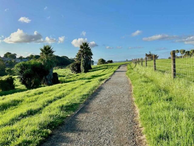 Meola Reef Dog Park