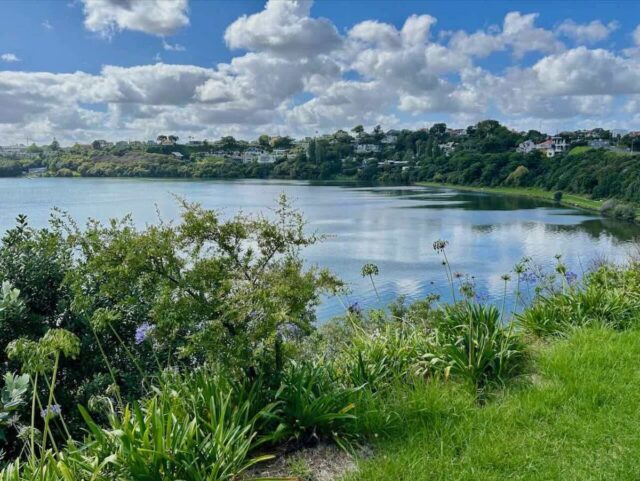 Orakei Basin from Above