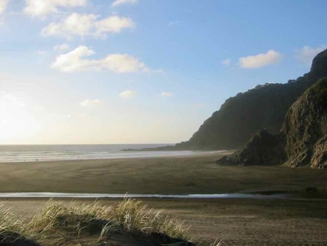 Piha Beach