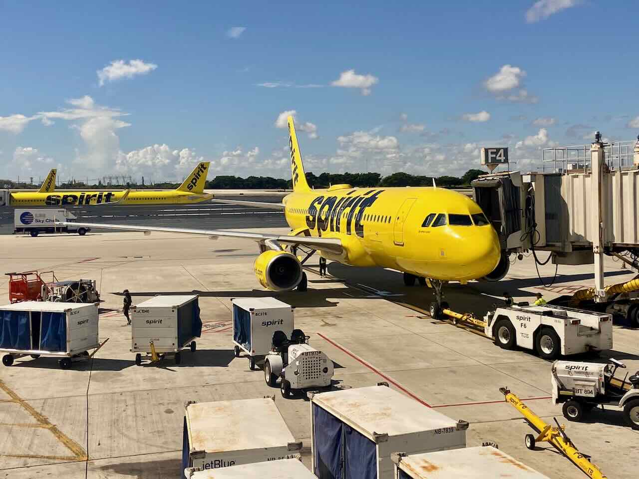 Which North & South American Airlines Allow Dogs in the Cabin in 2024? Travelnuity