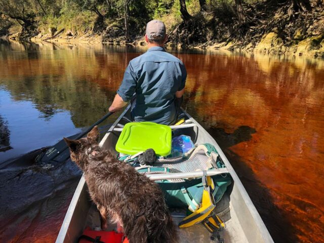 Suwannee River