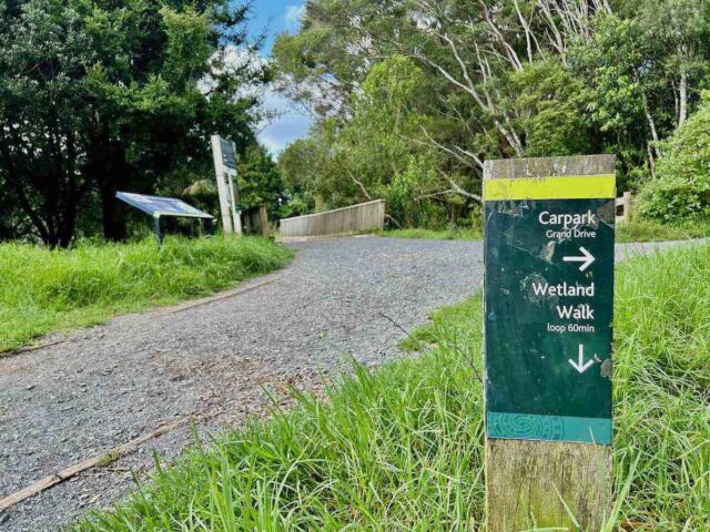 Waiatarua Reserve Off-Leash Dog Walk