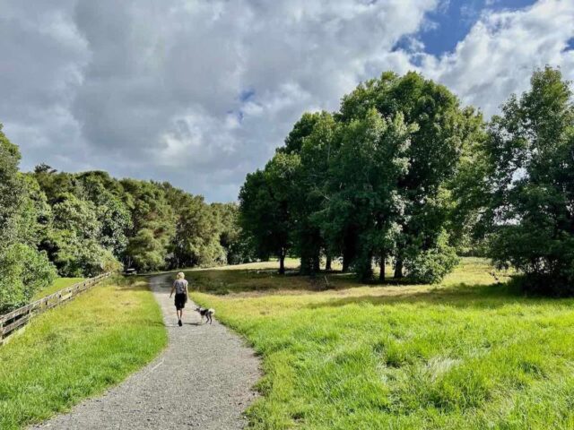 Waiatarua Reserve with Dog