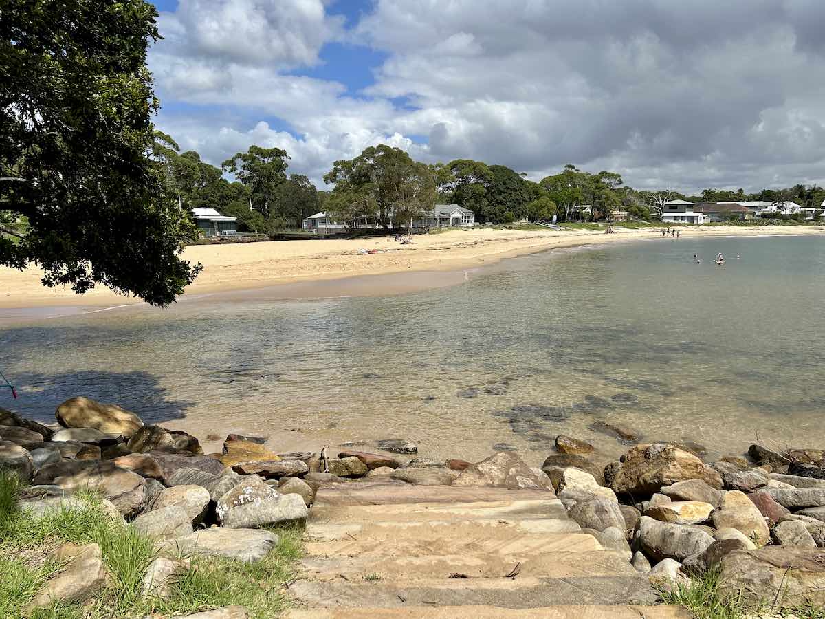 25 Best DogFriendly Beaches In and Around Sydney Travelnuity