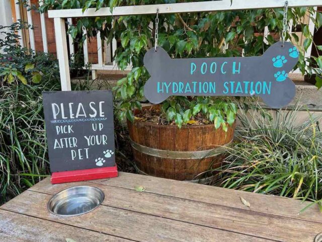 Briar Ridge Vineyard Pooch Hydration Station