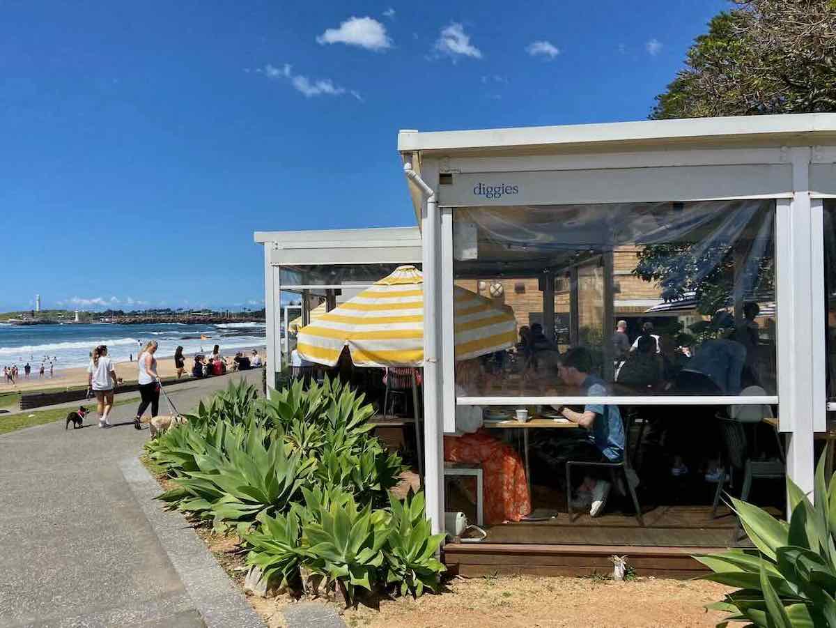 DogFriendly Wollongong Visiting the Gong with a Dog Travelnuity