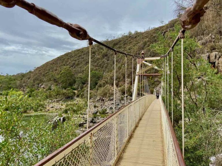 DogFriendly Launceston Visiting Launceston with a Dog Travelnuity