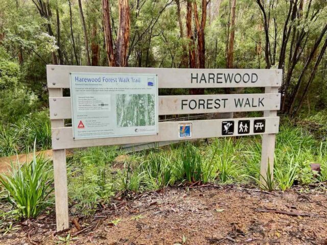 Harewood Forest Walk