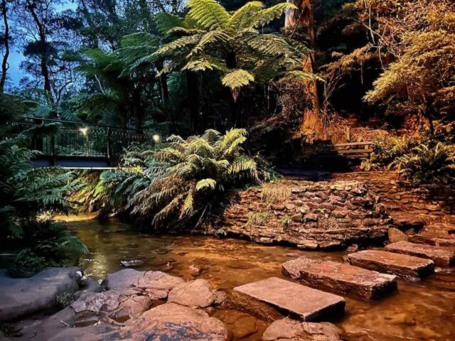 Katoomba Cascades Area Lit Up