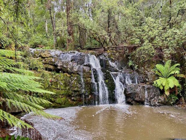 Lilydale Falls