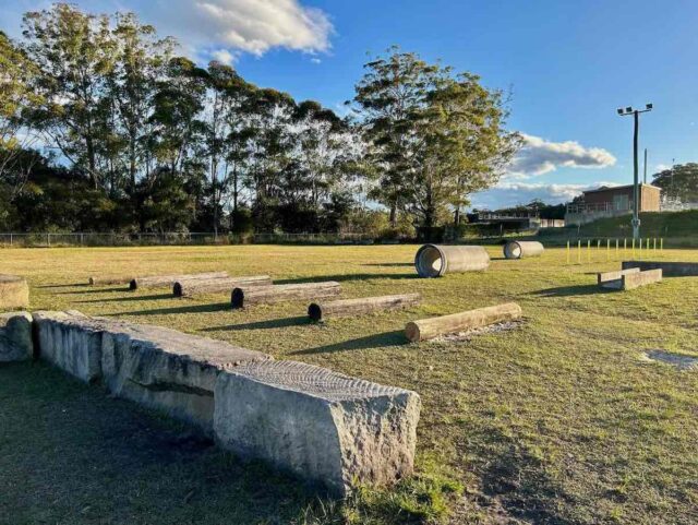 Tuggerah Dog Park