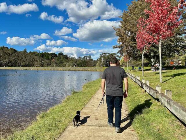 Wentworth Falls Lake Walking with Dog