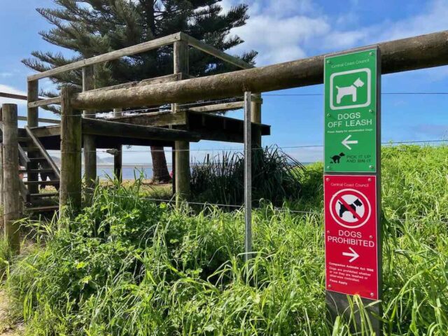 Aovca Beach Dog Signs