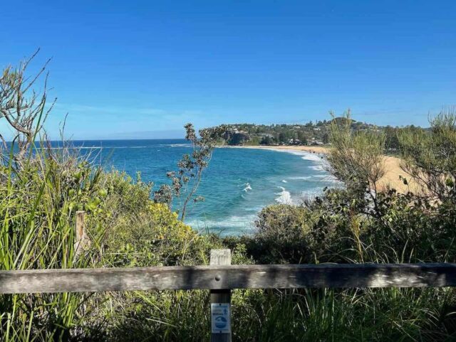 The view from Bilgola Headland