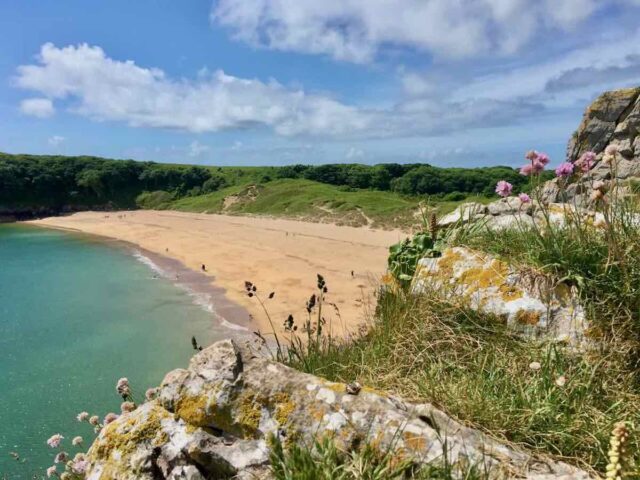 Dog-Friendly Beaches UK