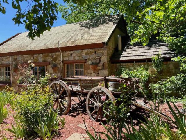 Dog-Friendly Hahndorf