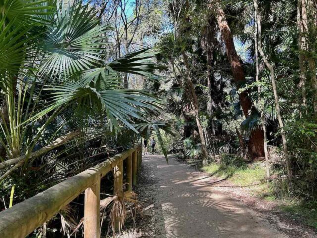 Narrabeen Lagoon Trail through Jamieson Park