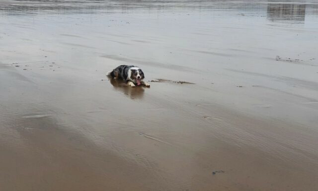 Ogmore by Sea