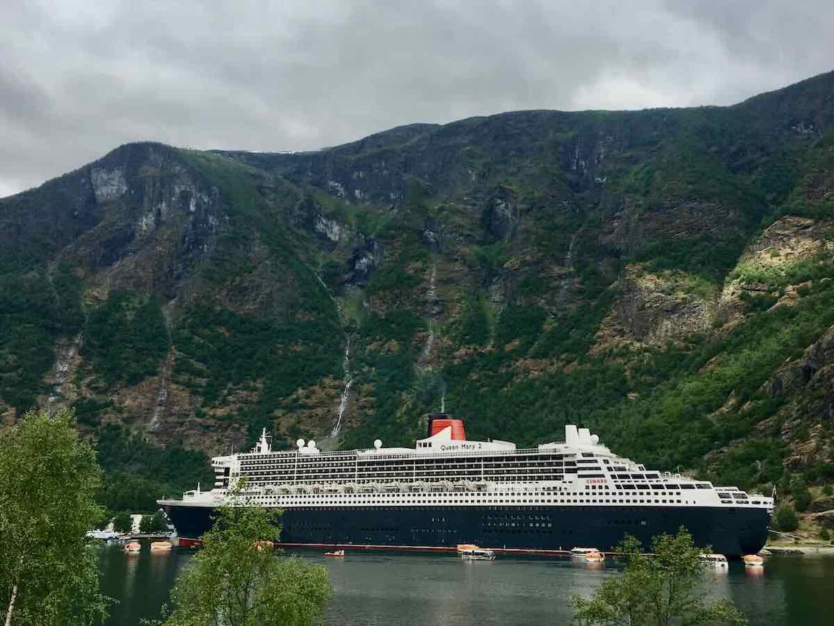 Are There Any DogFriendly Cruises in 2024? Travelnuity