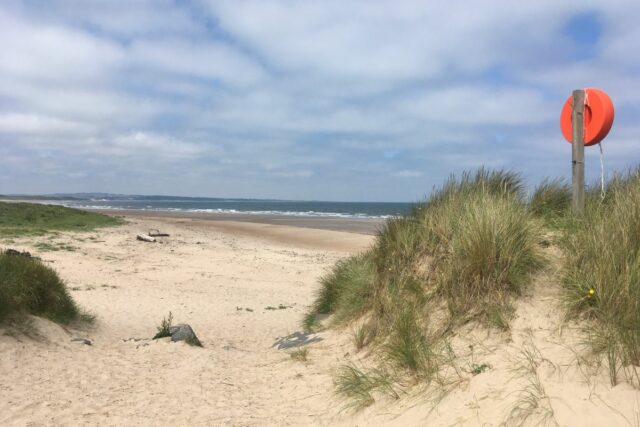 Warkworth Beach