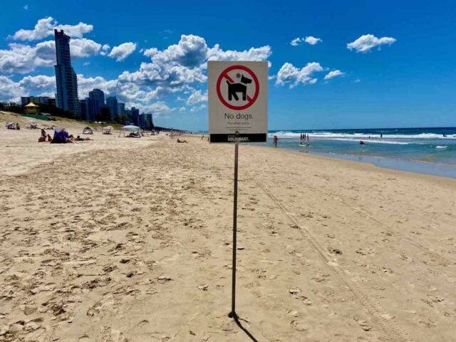 Gold Coast No Dogs Sign