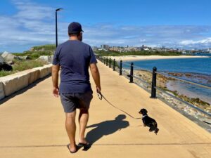 Dog-Friendly Walks Newcastle