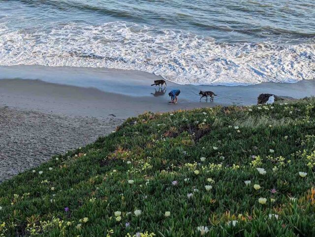 Its Beach Santa Cruz California