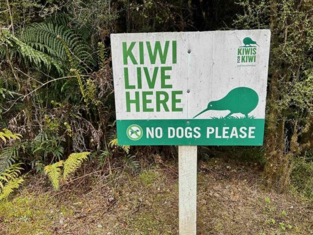 Kiwi Live Here Sign