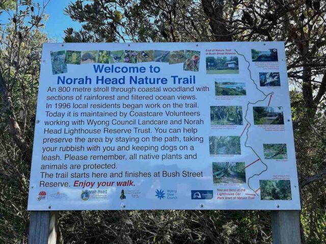 Norah Head Nature Trail