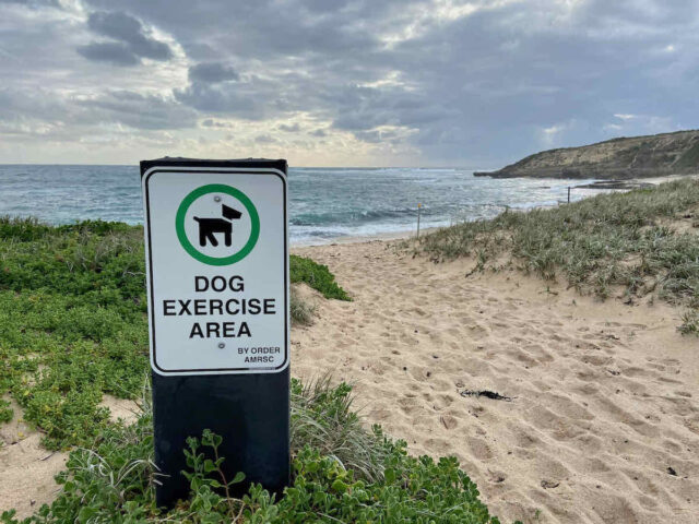 Prevelly Off-Leash Dog Beach