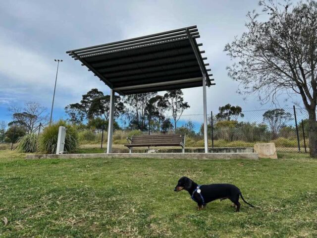 The Ridge Dog Park