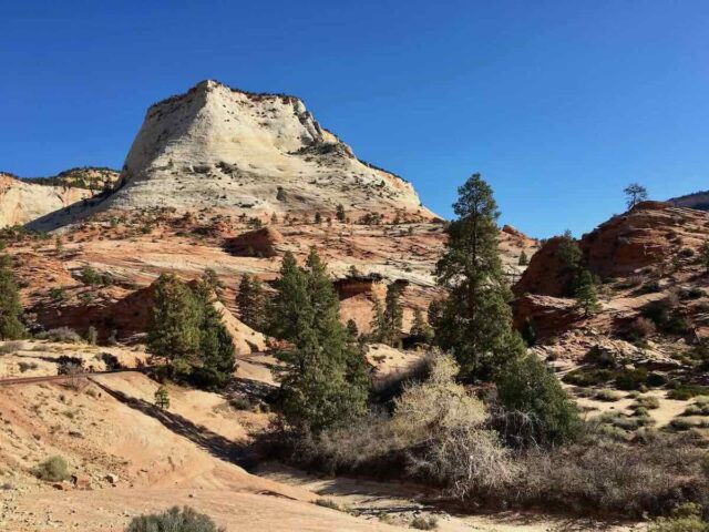 Zion National Park