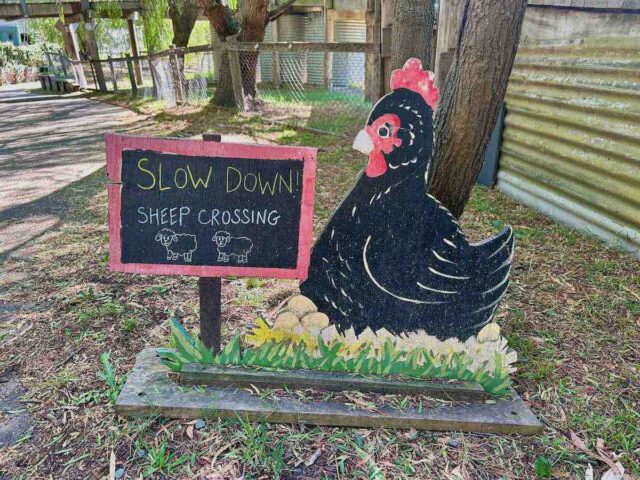 Collingwood Childrens Farm