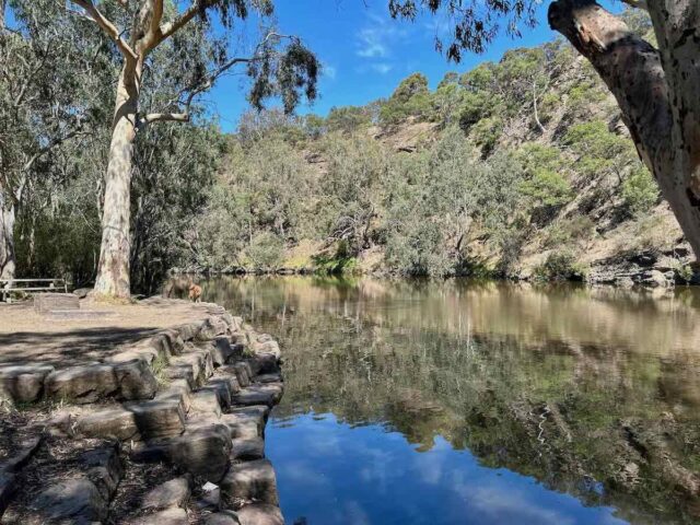 Deep Rock in Yarra Bend Park