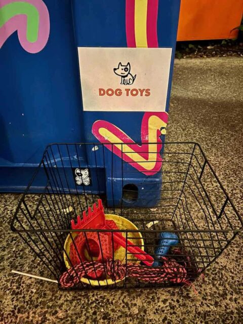Dog Toys at the Alex