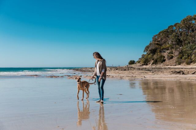 Lorne beach with dog