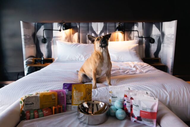 Ovolo VIPooch Package August 2025