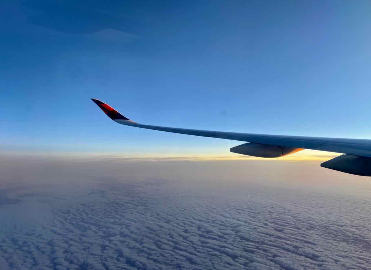 Which US Airlines Allow Dogs in the Cabin in 2024? Travelnuity