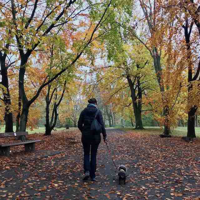 Walking in Berlin Park