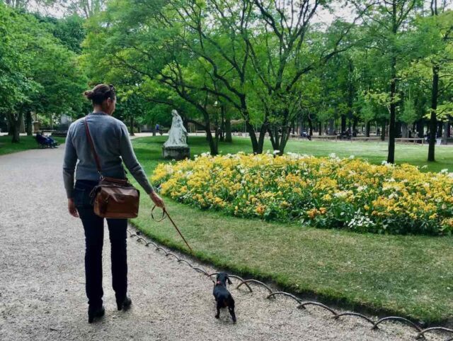 Walking in the Luxembourg Gardens