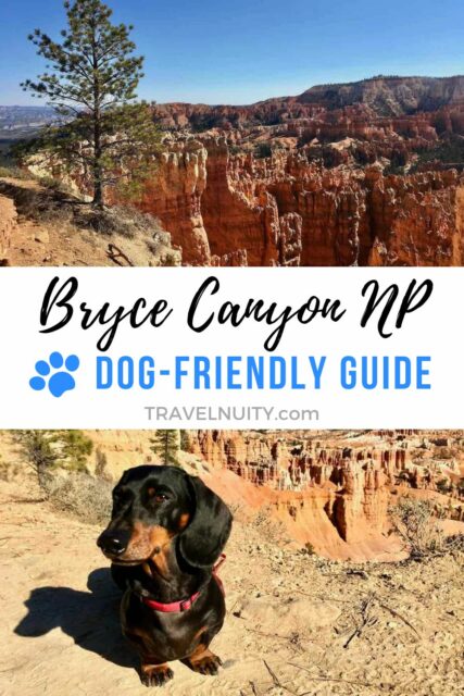 Bryce Canyon NP Dog-Friendly Guide Pin