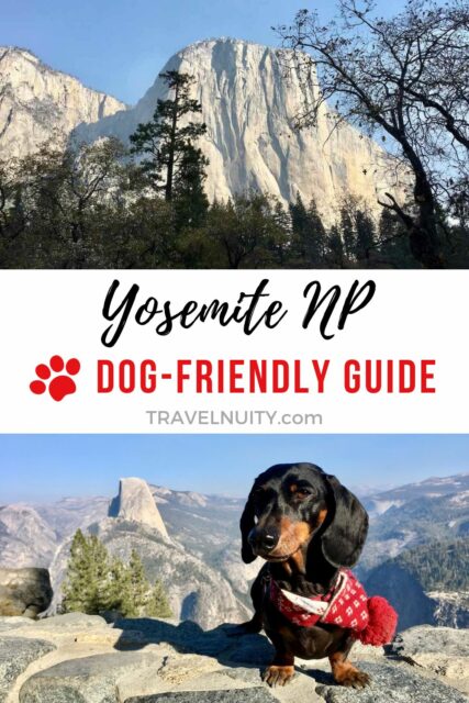 Yosemite NP Dog-Friendly Guide Pin