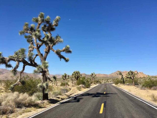 Driving in Joshua Tree NP