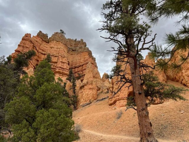 Hiking in Red Canyon Utah - 1