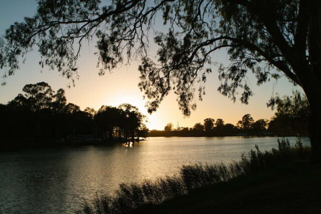 Dog-Friendly Mildura