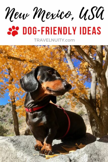 Dog-Friendly New Mexico