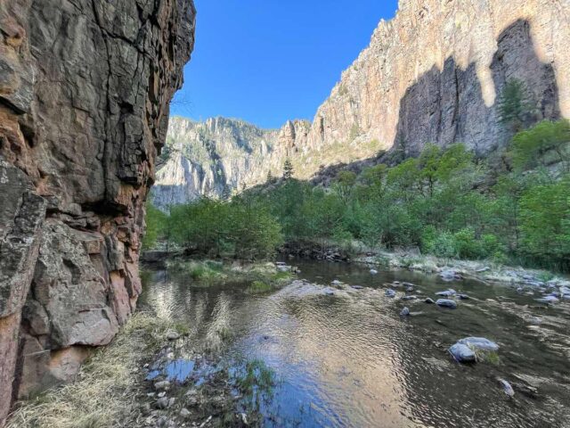 Gila National Forest