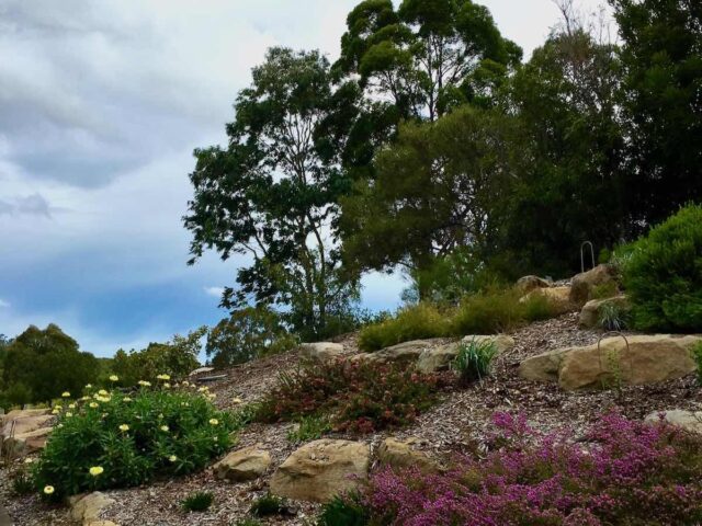 Mt Annan Botanic Garden