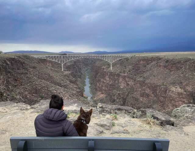 Rio Grande Gorge with Dog