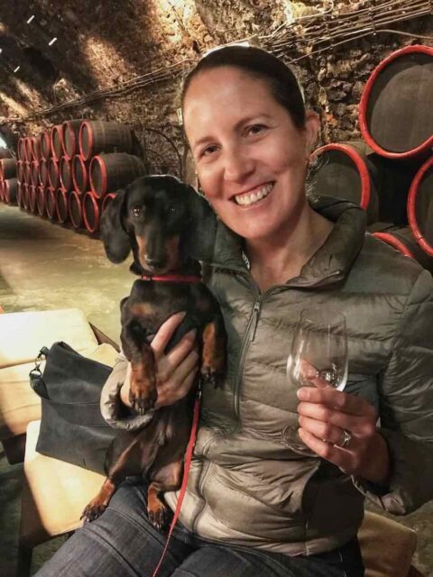 Tokaj Wine Tasting with Dog